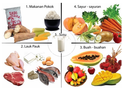  Contoh dan Manfaat Makanan 4 Sehat 5 Sempurna KABAR 
