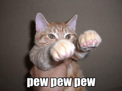 funny cat pew pew