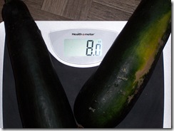 zucchini 7.15.09 002