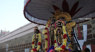 Theppotsavam,Seriya Ther,Day 04,Vaibhavam,Dharisanam,Sri Narasimhar, Sri PArthasarathy Perumal, Perumal, Venkata Krishna , Varushotsavam, 2018, Video, Divya Prabhandam,Triplicane,Thiruvallikeni,Utsavam,