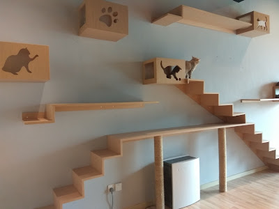 cat signature, cat signature cafe and studio, cat signature bangi, bangi, bandar baru bangi, cat studio. cat cafe