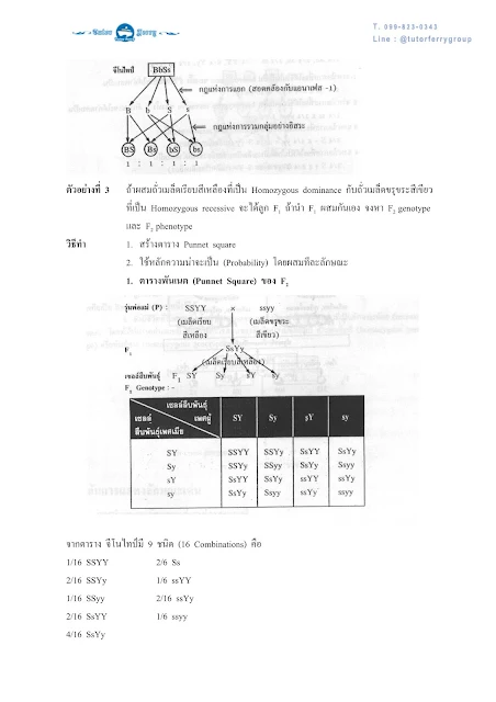 วิชาชีววิทยา เรื่องพันธุศาสตร์ ตอนที่ 1