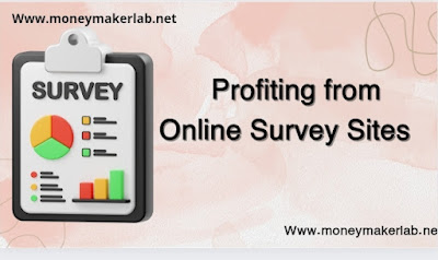 Profiting from Online Survey Sites