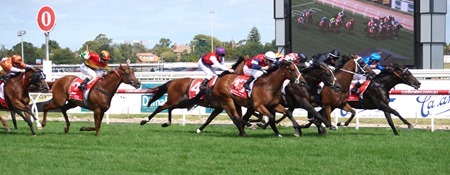 race 5_finish