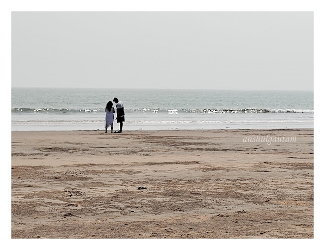 The Red Crab Clan - Mohona Beach West Bengal 4