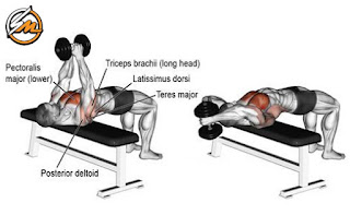 5 Exercises That Are More Effective Than the Bench Press