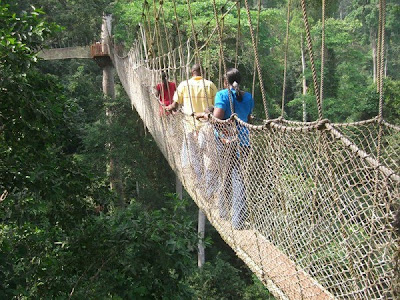 Cool and Beautiful Scary Bridges