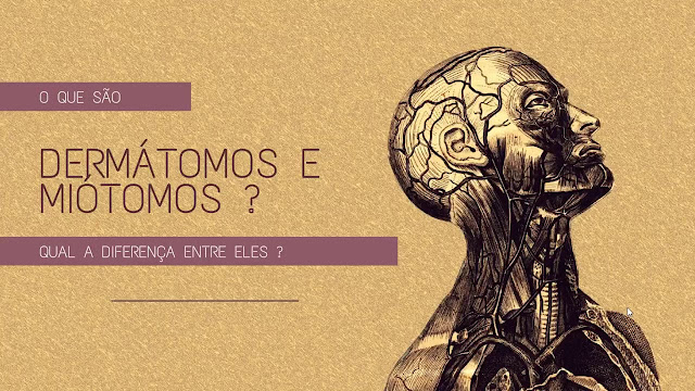 Dermátomos e Miótomos