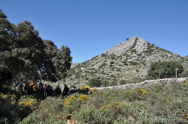 Villaluenga del Rosario - Llanos del Republicano - Torcal de Cancha Bermeja - Cerro Tinajo