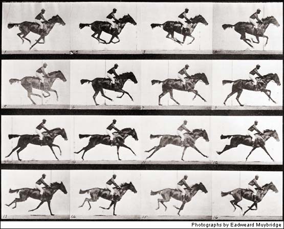  horses galloping.