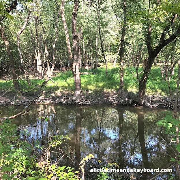 Ambling along the Chicago River at Glenview Woods