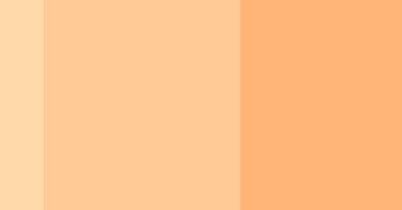 Kombinasi Warna Orange Muda GRAFIS MEDIA
