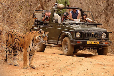 India Wildlife Tours