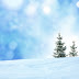 Snow and Tree iPad Wallpaper