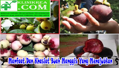 Manfaat Dan Khasiat Buah Manggis Yang Menajubkan