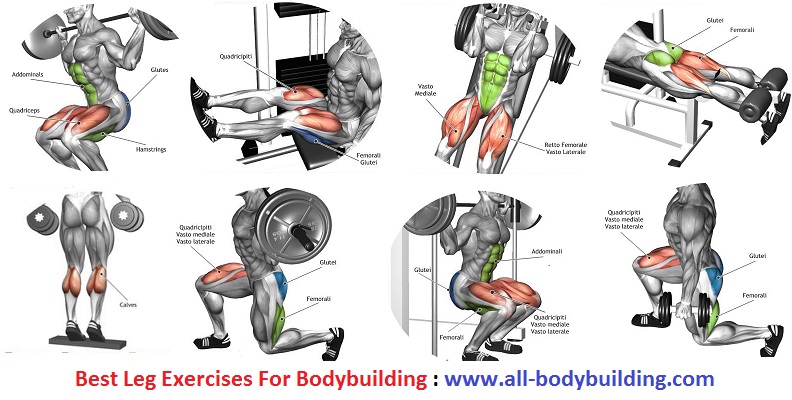 Best Leg Exercises For Bodybuilding ~ multiple fitness