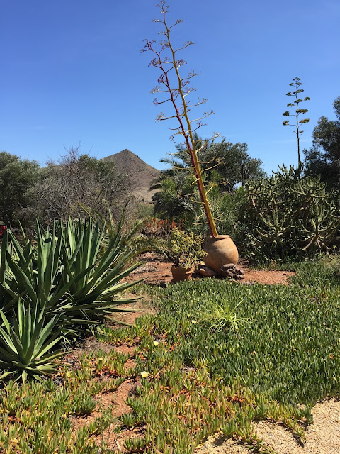 The verdant paradise of El Jardin de los Sueños