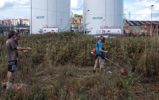 Huerto urbano de los ecologistas en Lutxana