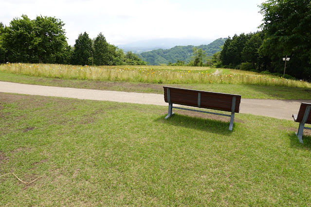 鳥取県西伯郡南部町鶴田 とっとり花回廊 花の丘