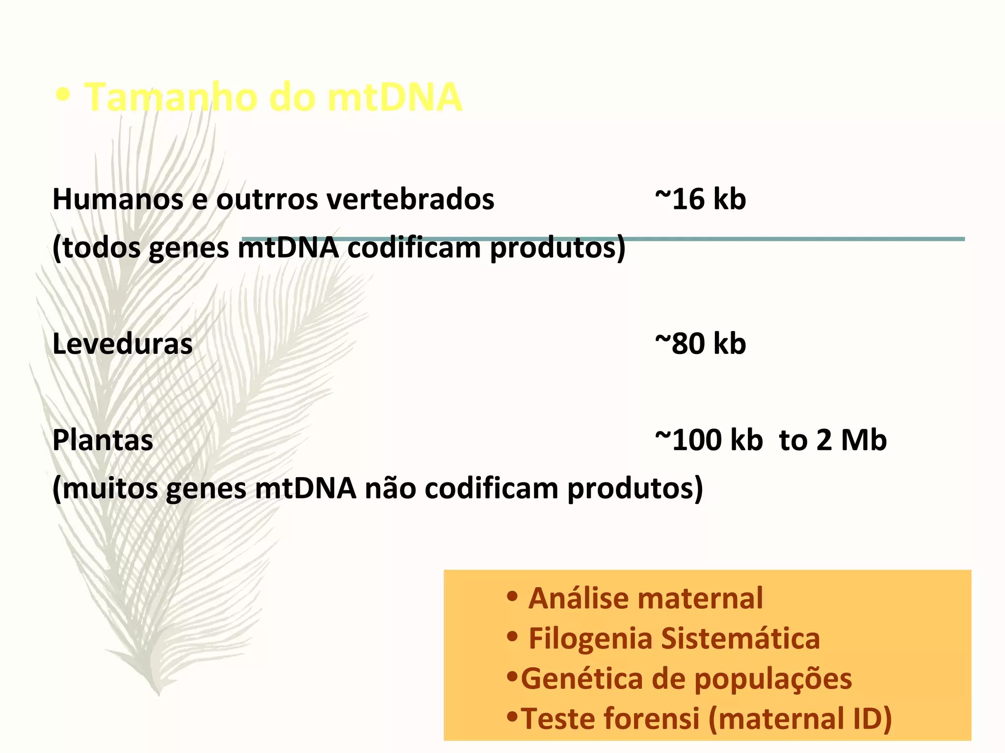 Introdução a genética