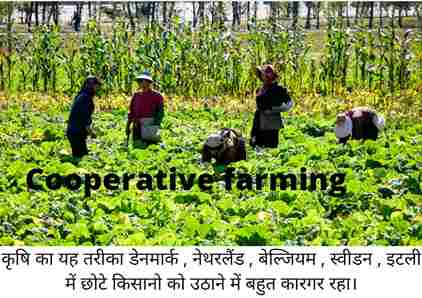 cooperative farming