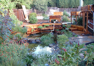 Backyard Biology: A Backyard Aquaponic Pond System