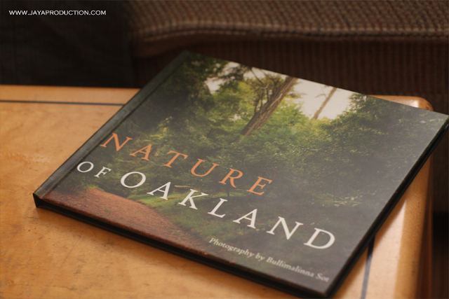 blurb,print,promo,code,review,printing, photography, art, landscape, nature, Oakland, book,canon, flickr, family,  hardwarp. blonde