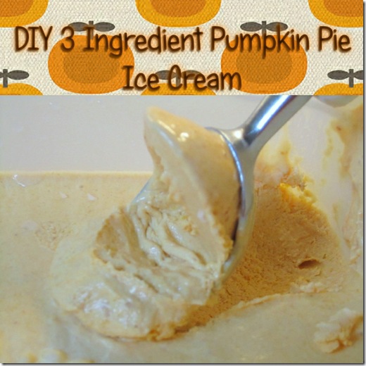 DIY Pumpkin Pie Ice Cream (Krafty Kat)