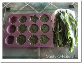 pesto-ail-moules_5312