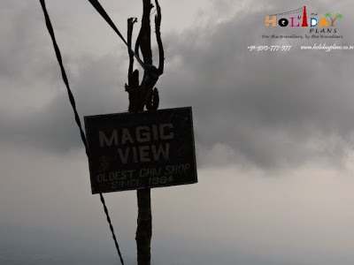 Magic view point