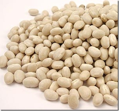 navy bean