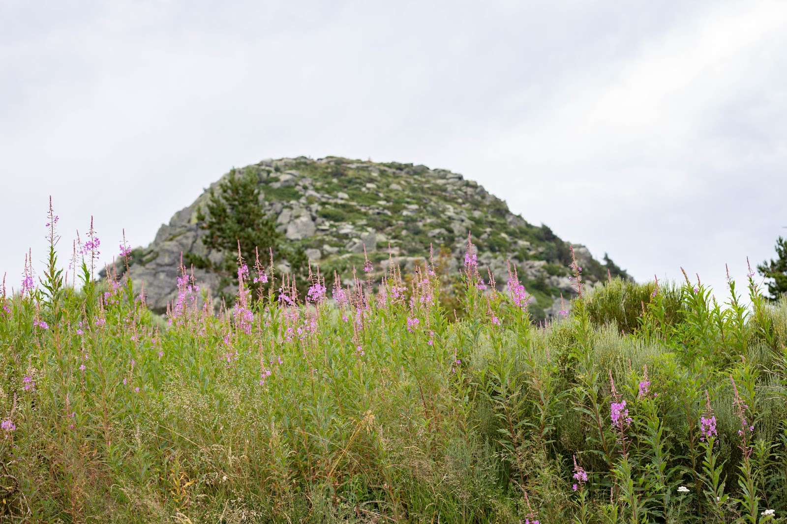 https://www.notebook.ldmailys.com/2019/07/une-journee-en-centre-ardeche.html