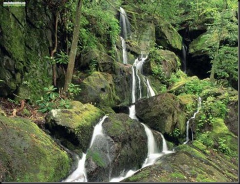 ElTallerdela BrujaMar_Roaring Fork,Tennessee