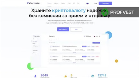 ᐅ PayWallet: обзор и отзывы о новом криптовалютном кошельке