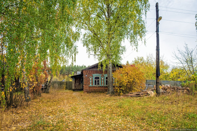 Кирпичный одноэтажный дом в деревне