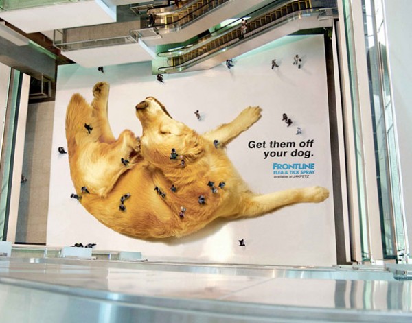 Shocking Ads10