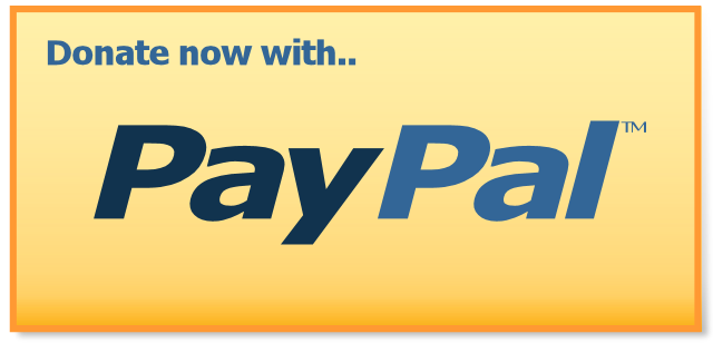 PayPal Donation Button Widget - Make Money - Best Blog ... - 640 x 308 png 19kB