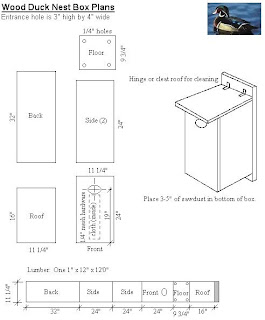 Wood Duck Box Plans