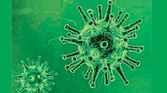 Ebola more dangerous than Coronavirus in Africa