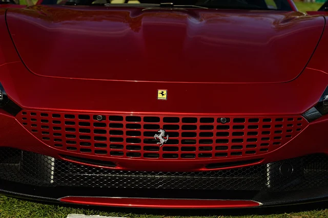 Ferrari Roma Parrilla Delantera