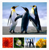 jQuery to enlarge thumbnail image in slider on mouse over in asp.net jQuery to enlarge thumbnail image in slider on mouse over in asp.net