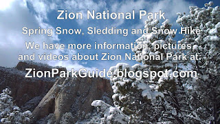 Zion National Park - Beautiful Snow on Peaks and Trees