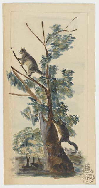 Christmas Card design depicting a two opossums in a tree with the words "Good Wishes".