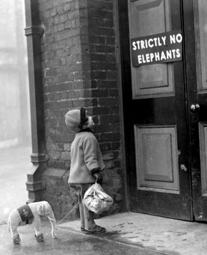 no elephants allowed