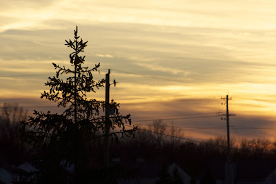 sunset depth of field