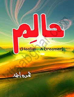 Haalim Episode 16 By Nimra Ahmad Pdf Free Download