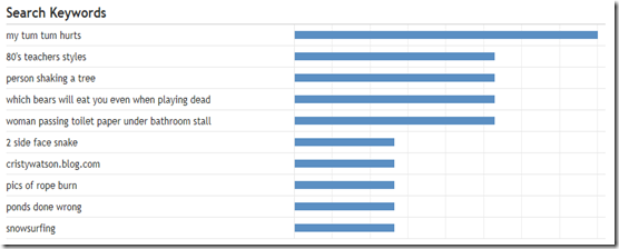 Blog Searches 10172011