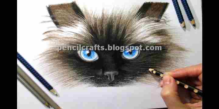 How to Make Cartoon Cat Color Pencil Drawings,Sketches