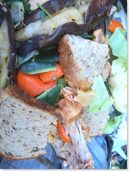 varied wasted food
