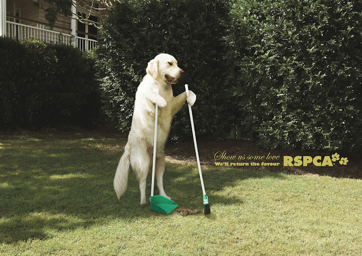 RSPCA | All Social Ads